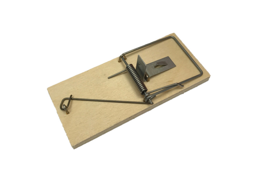 Obrázek z Past na myš dřevěná 1ks 