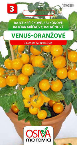 Obrázek z Rajče keříčkové balkónové Venus oranžové  20 s 