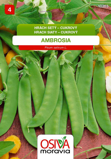 Obrázek z Hrách setý cukrový Ambrosia Seva Seed 25 g 