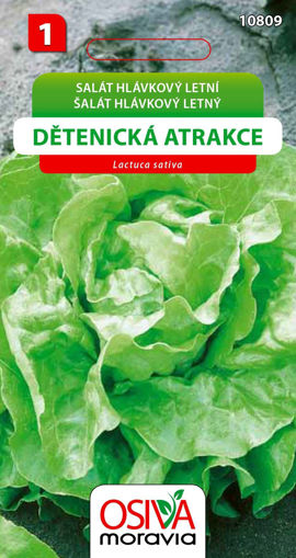 Obrázek z Salát hlávkový letní Dětenická atrakce Seva Seed 0,5 g 