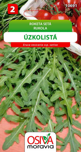 Obrázek z Roketa setá Rukola úzkolistá 1 g 