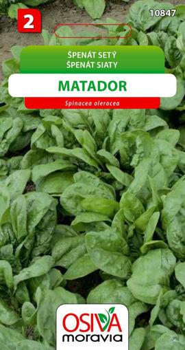 Obrázek z Špenát Matador Seva Seed 8 g 