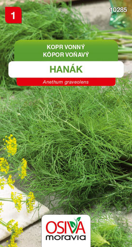 Obrázek z Kopr vonný Hanák Seva Moravia 3g 