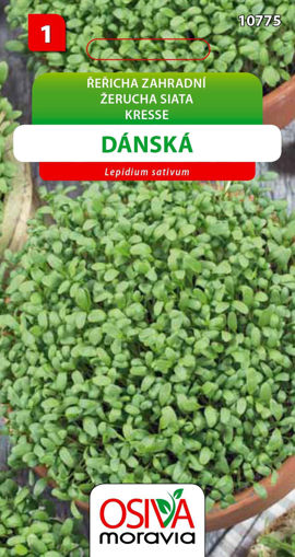 Obrázek z Řeřicha zahradní Dánská 5 g 