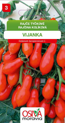 Obrázek z Rajče tyčkové rybízové Vijanka 0,15 g 