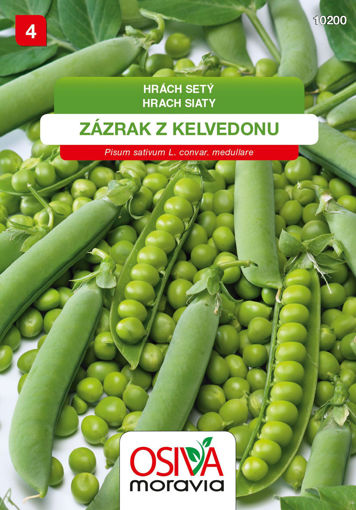 Obrázek z Hrách setý Zázrak z Kelvedonu Seva Seed 30 g 