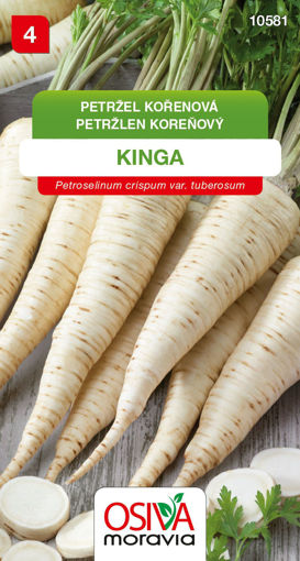 Obrázek z Petržel kořenová Kinga 3 g 