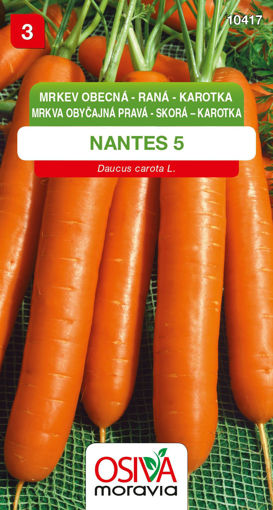Obrázek z Mrkev raná  karotka Nantes 5 Osiva moravia 3 g 