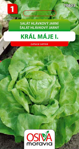 Obrázek z Salát hlávkový jarní Král Máje I. Seva Moravia 0,5 g 