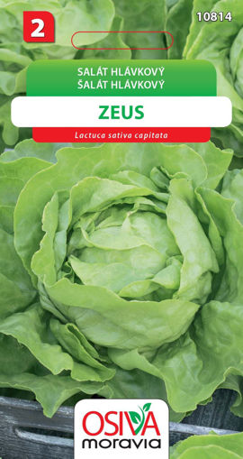 Obrázek z Salát hlávkový celoroční Zeus 0,3g 