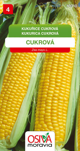 Obrázek z Kukuřice cukrová Seva Seed 7 g 
