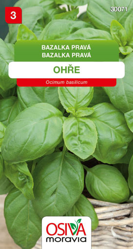 Obrázek z Bazalka pravá Ohře Seva Moravia 0,3 g 