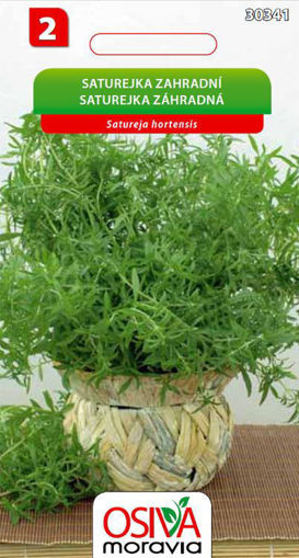Obrázek z Saturejka vytrvalá 0,3 g 