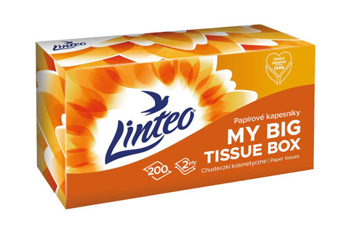Obrázek z Linteo papírové kapesníky box 200 ks 
